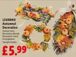 Lidl Livarno autumnal decoration offer