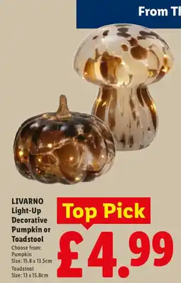 Lidl Livarno Light-Up Decorative Pumpkin or Toadstool offer