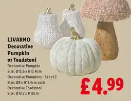 Lidl Livarno decorative pumpkin or toadstool offer