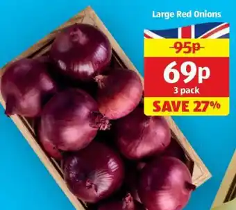 Large Red Onions