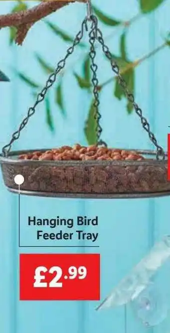Lidl Hanging Bird Feeder Tray offer