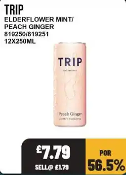 Bestway Trip elderflower mint/ peach ginger offer