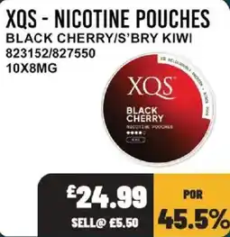 Bestway XQS nicotine pouches offer