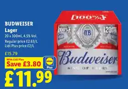 Lidl Budweiser lager offer