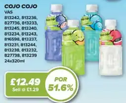 Bestway Cojo Cojo Vas offer