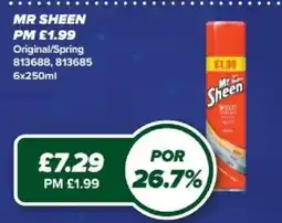 Bestway Mr Sheen multi offer