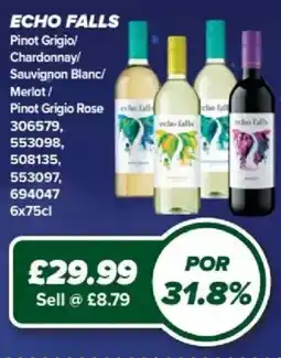 Bestway Echo Falls offer
