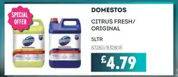 Bestway Domestos offer