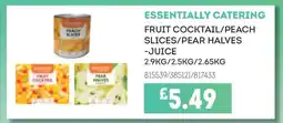Bestway Essentially Catering Fruit Cocktail/Peach Slices/Pear Halves offer