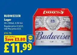 Lidl Budweiser Lager offer