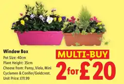 Lidl Window Box offer