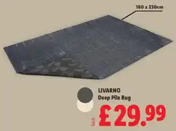 Lidl Livarno deep pile rug offer
