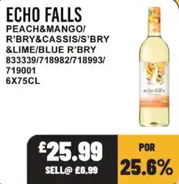 Bestway Echo Falls peach & mango offer