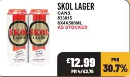 Bestway Skol lager cans offer