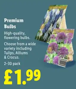 Lidl Premium Bulbs offer