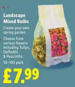 Lidl Landscape Mixed Bulbs offer