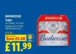 Lidl Budweiser Lager offer