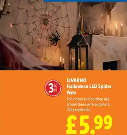 Lidl Livarno halloween led spider web offer