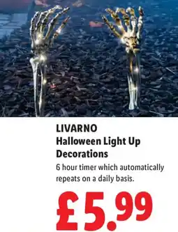 Lidl Livarno halloween light up decorations offer