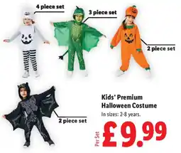 Lidl Kids' Premium Halloween Costume offer