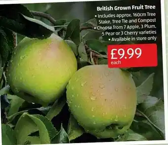 Aldi British Grown Fruit Tree offer