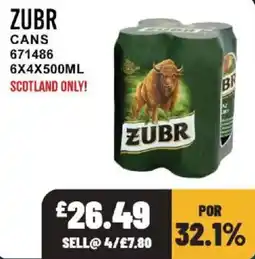 Bestway Zubr cans offer