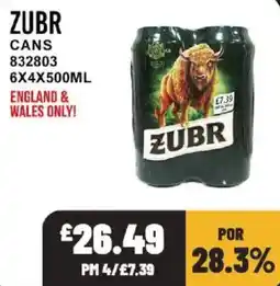 Bestway Zubr cans offer