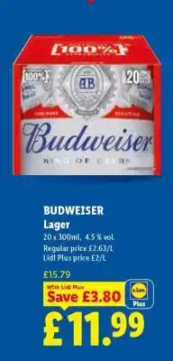 Lidl Budweiser Lager offer