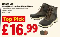 Lidl ESMARA MEN Men's Water Repellent-Thermal Boots offer