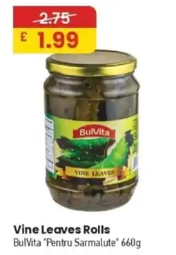 MyMINIMIX BulVita vine leaves rolls offer