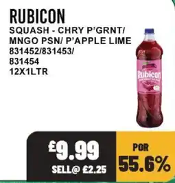 Bestway Rubicon squash offer