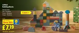 Lidl Lupilu Building Blocks offer