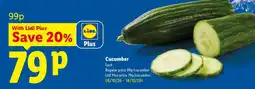 Lidl Cucumber offer
