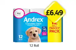 Londis Andrex Complete Clean offer