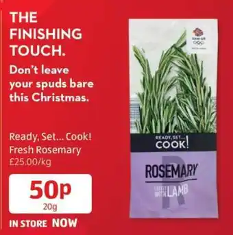 Ready, Set... Cook! Fresh Rosemary