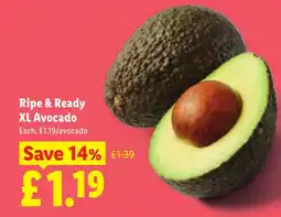 Lidl Ripe & Ready XL Avocado offer