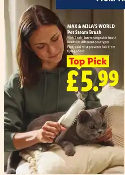 Lidl Max & Mila's World Pet Steam Brush offer