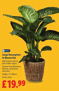 Lidl Large Houseplant in Woven Pot offer