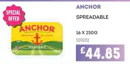 Bestway Anchor spreadable offer
