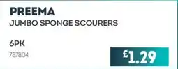 Bestway Preema jumbo sponge scourers offer