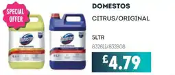Bestway Domestos citrus/original offer