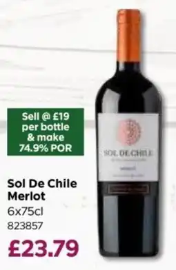 Bestway Sol De Chile Merlot offer