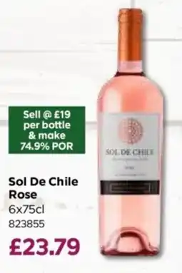 Bestway Sol De Chile Rose offer