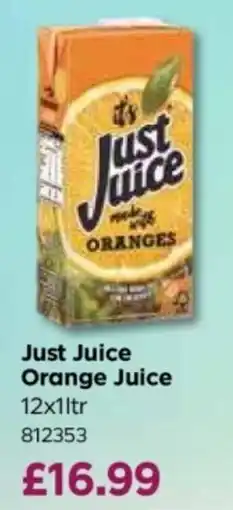 Bestway Just Juice Orange Juice offer