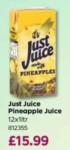 Bestway Just Juice Pineapple Juice offer