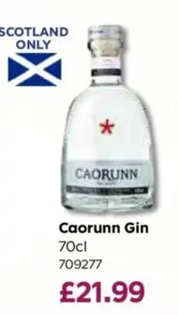 Bestway Caorunn Gin offer