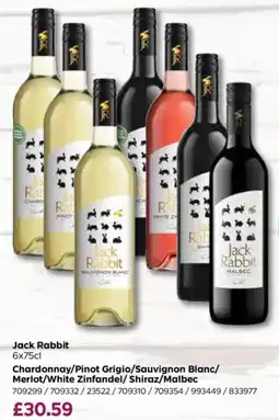 Bestway Jack Rabbit offer