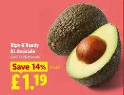 Lidl Ripe & Ready XL Avocado offer