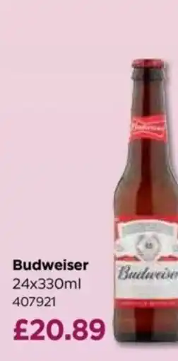 Bestway Budweiser offer
