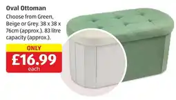 Aldi Oval Ottoman offer